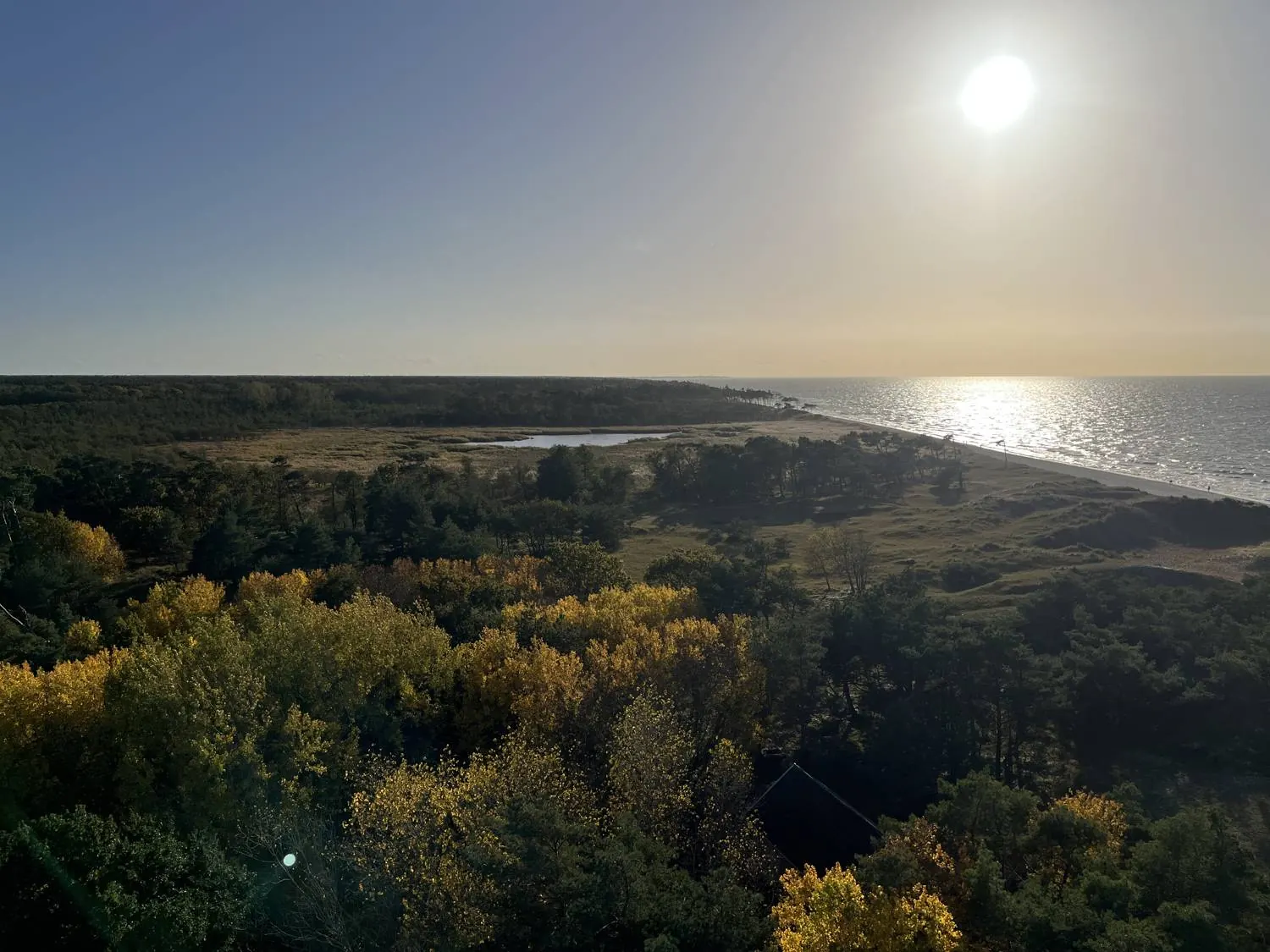 Blick vom Leuchtturm über Wald, Düne, Strand und Ostsee im Abendlicht