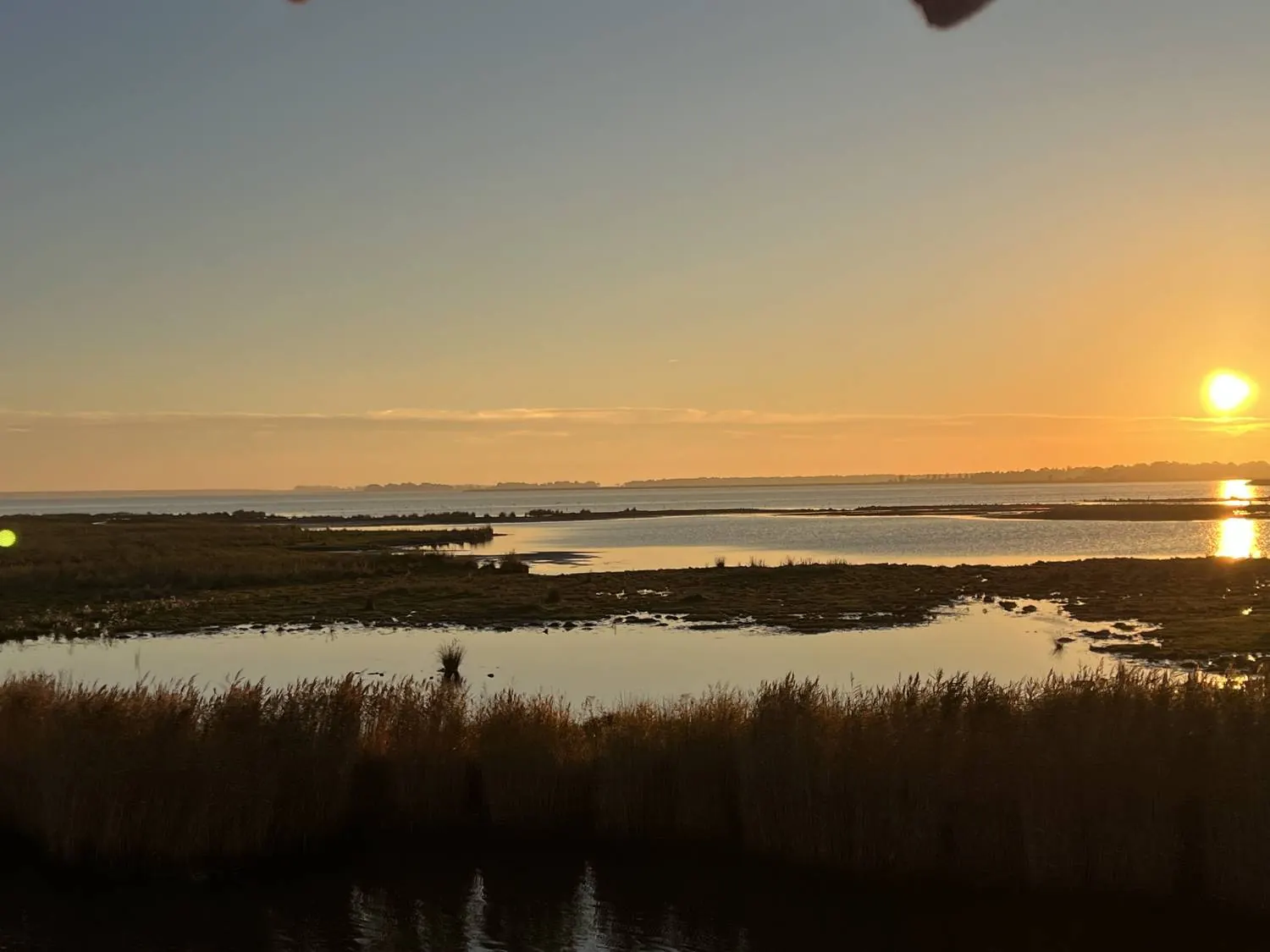Sonnenuntergang über dem Bodden mit Schilf im Vordergrund