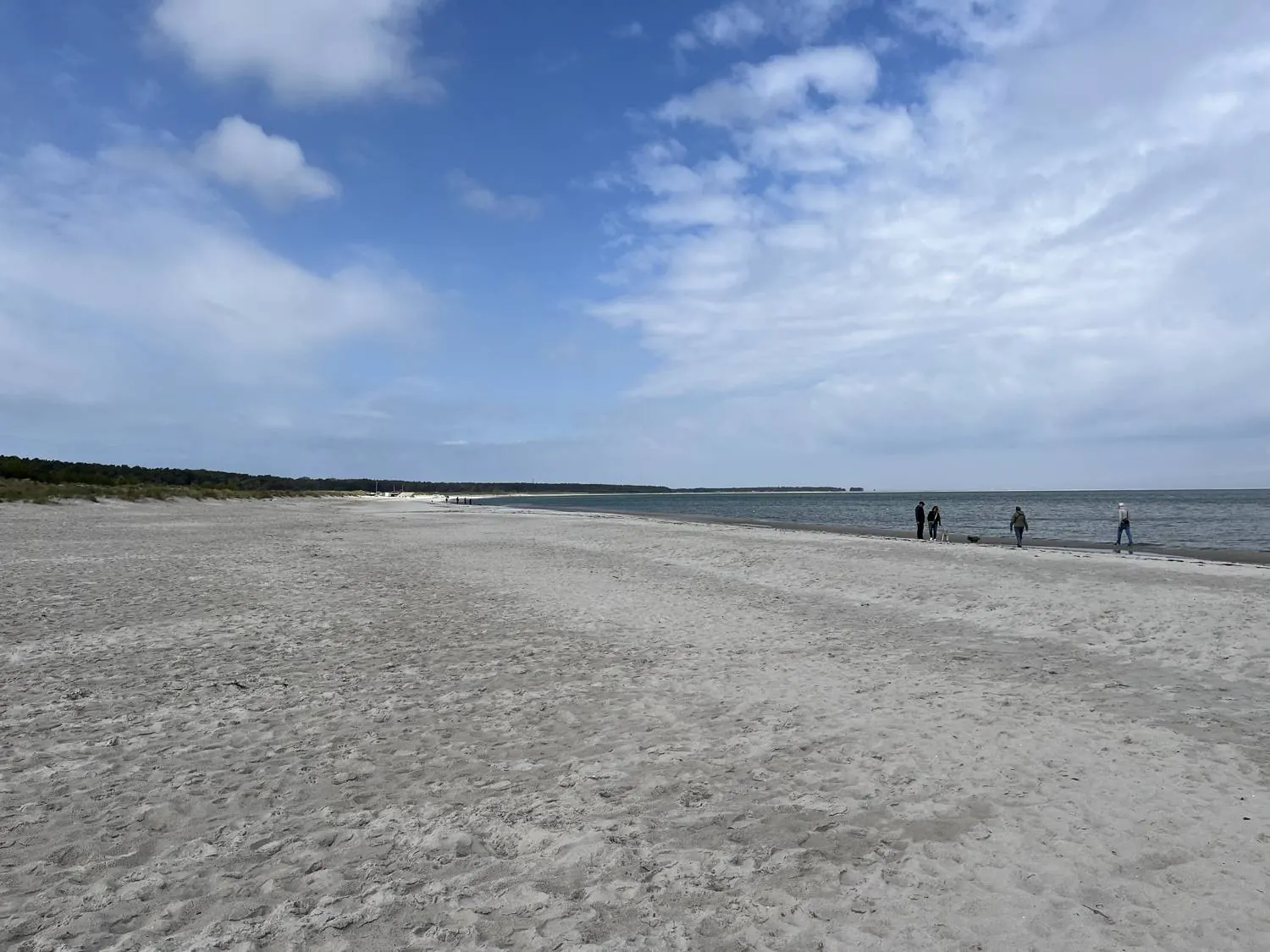 Breiter heller Sandstrand am Ostseestrand von Prerow mit Spaziergängern am Wasser